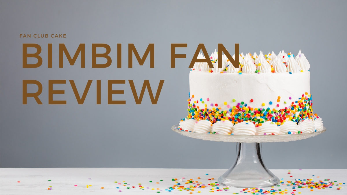 bimbim-fan-review-model
